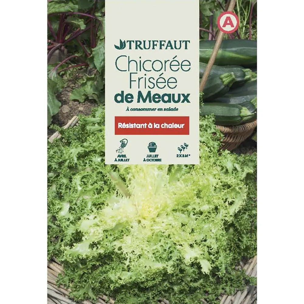 Graines de chicorée frisee de Meaux en sachet