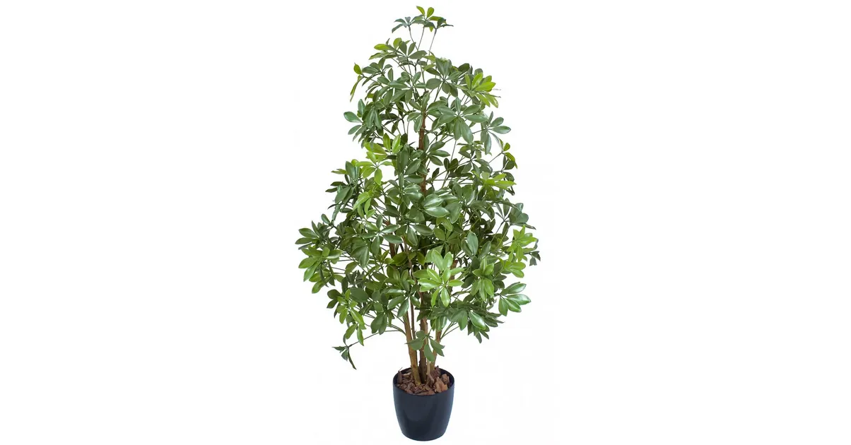 PLANTE ARTIFICIELLE : ORANGER DU MEXIQUE 150CM